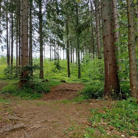 Apartment Romantik Donovaly